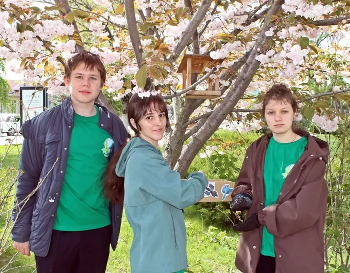 3cbaa656-1e0f-4c6e-891f-788a16caf0f2